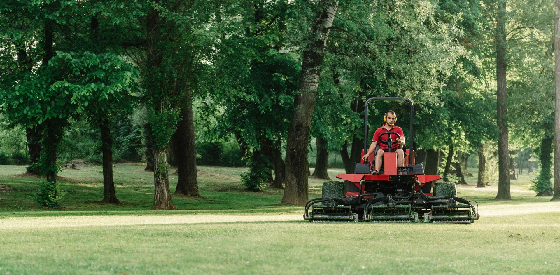 A person drives a large red riding lawn mower across a grassy area in a park surrounded by tall green trees.